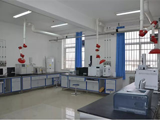 實驗室成功案例_可燃有毒氣體報警器