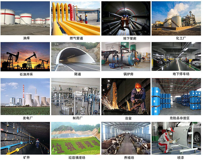 需要使用 帶顯示聲光報(bào)警器款VOC檢測(cè)儀的行業