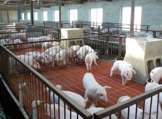 養殖場使用氨氣報警器